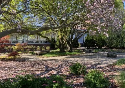 View of spring blooms in the north garden at the Art & Design Building